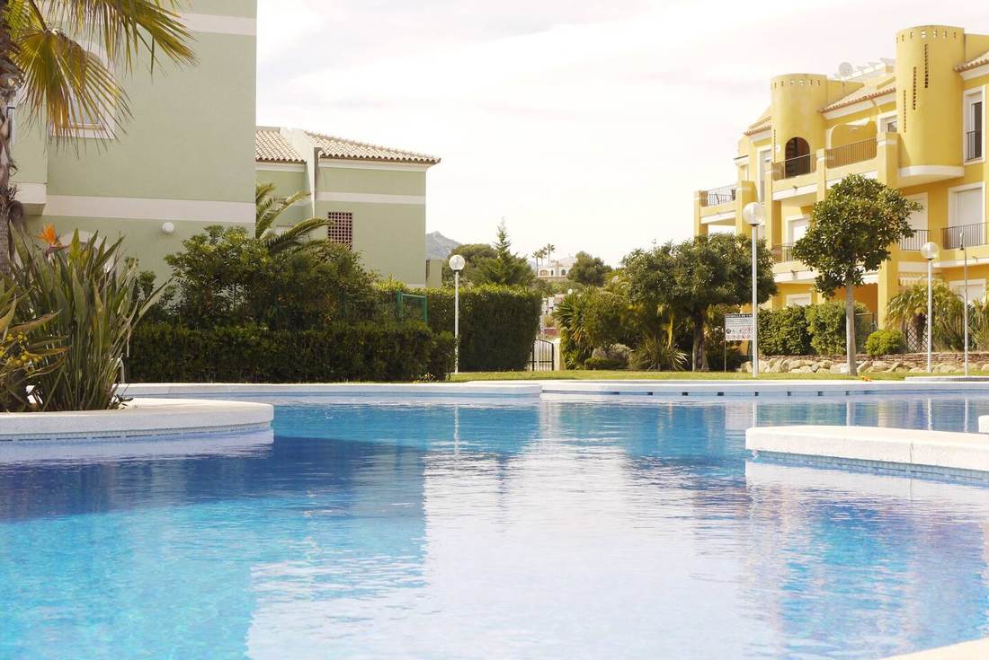 Communal pool surrounded by lawn and palm trees