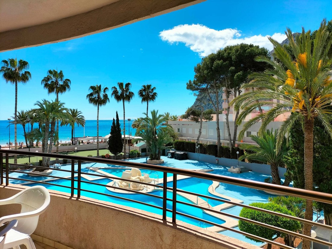 View of the palm trees and the sea from the terrace