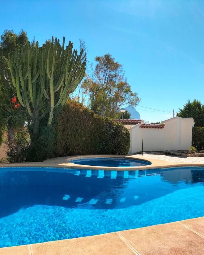 The communal pool at Bungalow Shangrila, with the cactus and the pines in the garden
