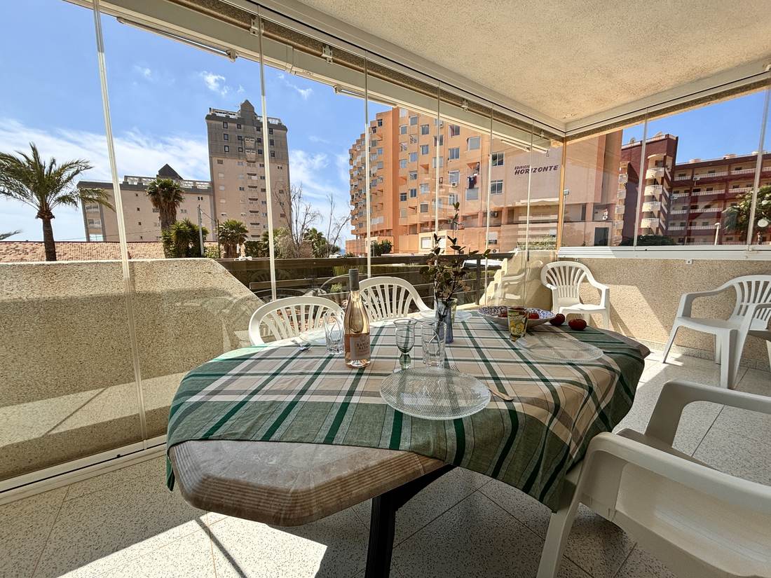 La terraza acristalada mirando hacia las palmeras del jardín