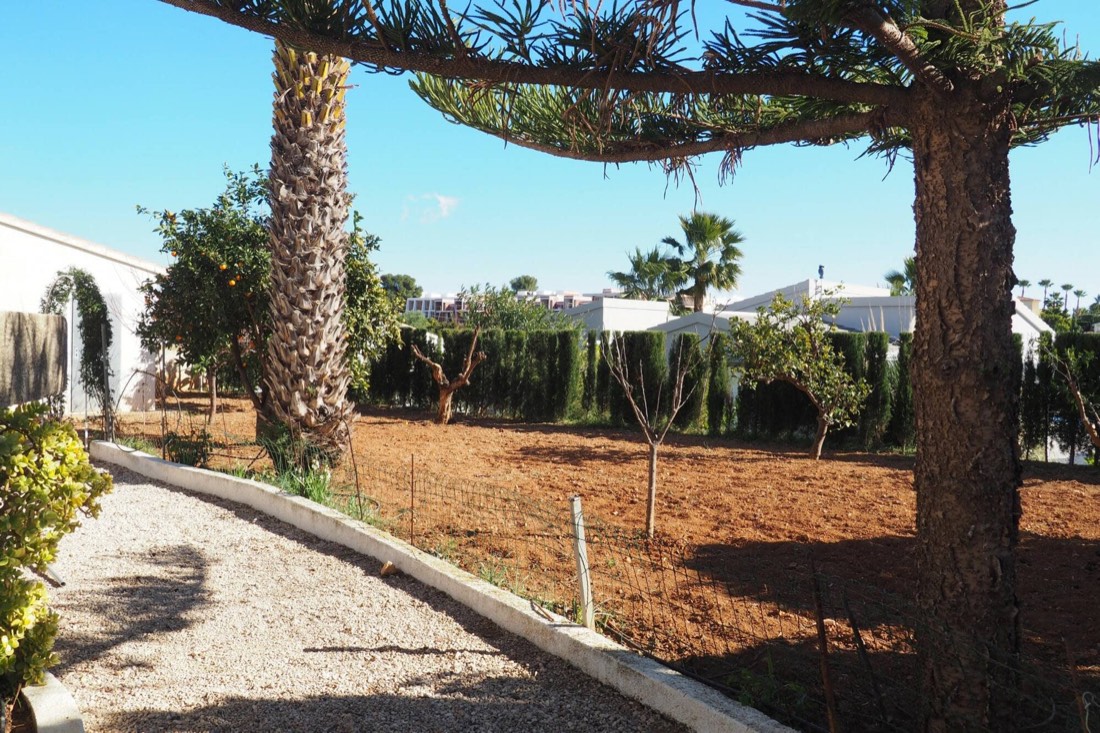 Garden with fruit trees and palm trees