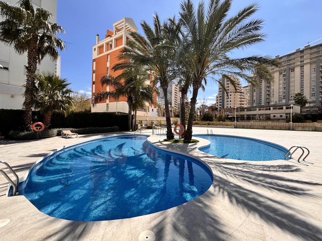 Communal pool among palm trees