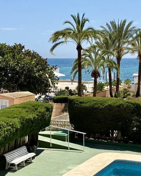 Palm trees and the pool at the Sorolla building, with the beach behind