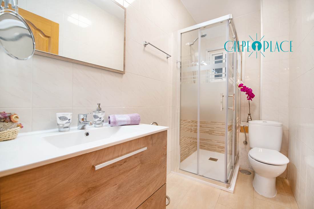Full bathroom with basin, shower cubicle and toilet