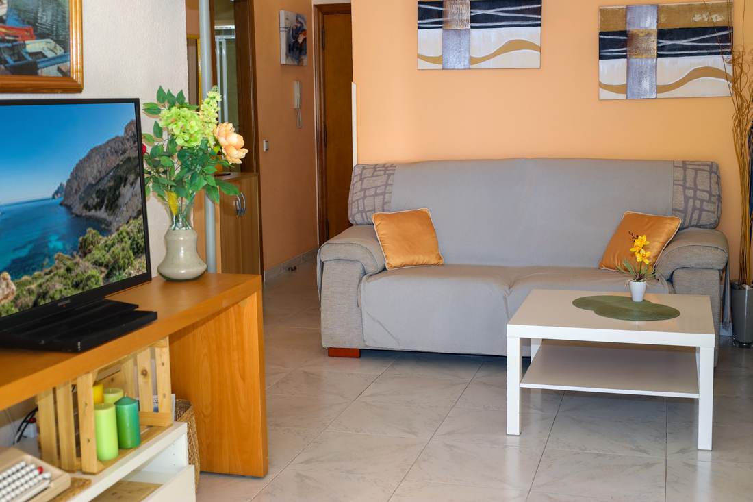Living room with a grey sofa and a TV