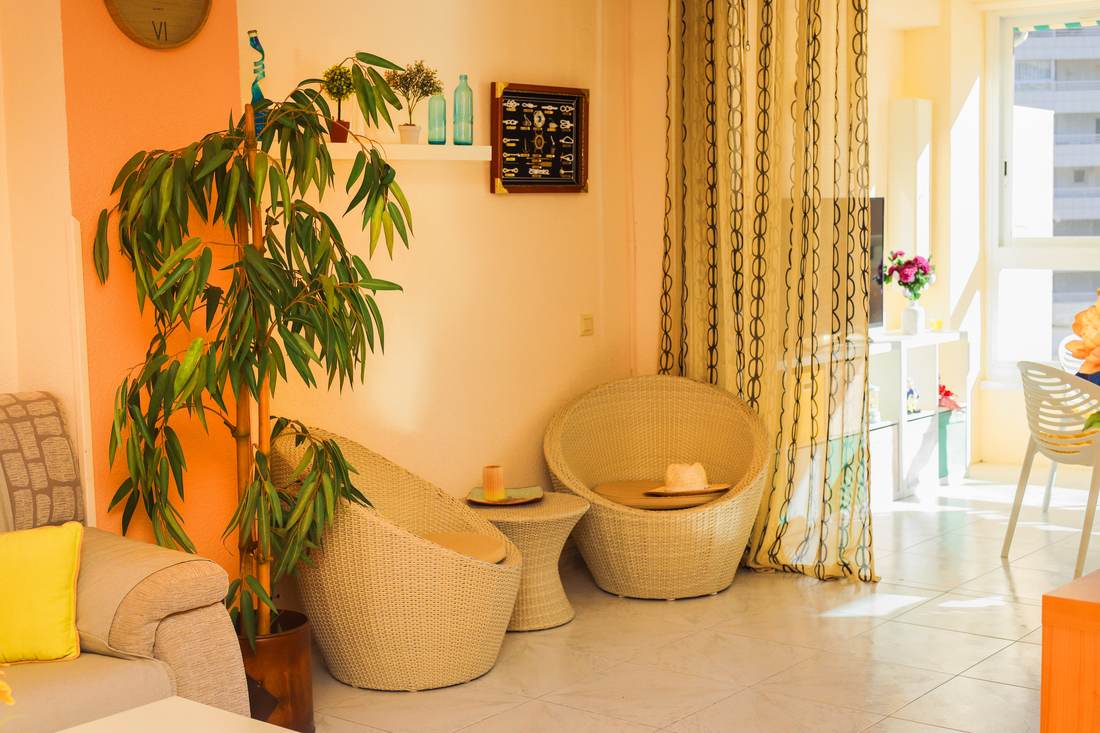 The armchair corner of the living room, among the plants