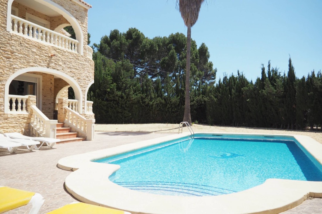 La piscina con el seto de cipreses y una palmera detrás