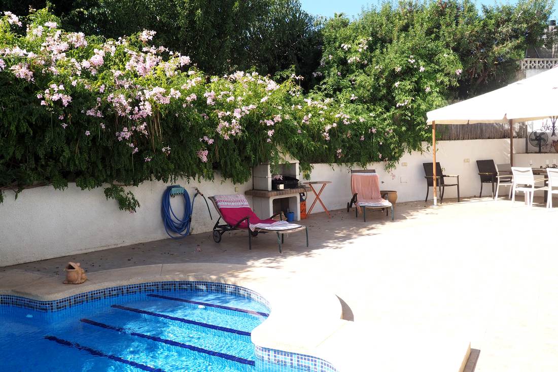 La piscina de Villa Ricarlos con el solárium y las adelfas en flor
