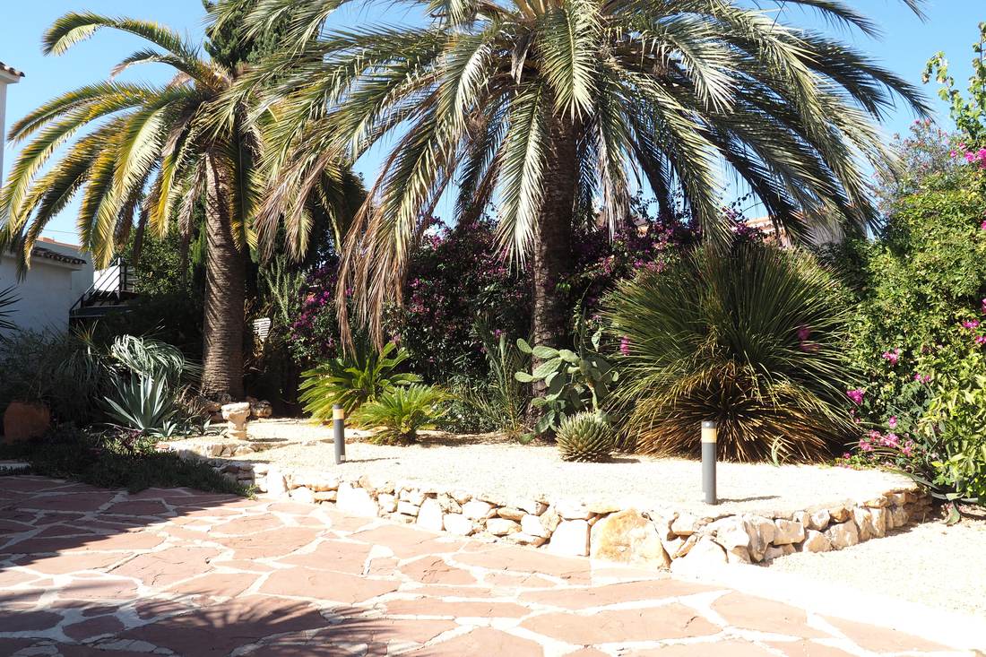 El jardín, con palmeras y cactus — Villa Ricarlos