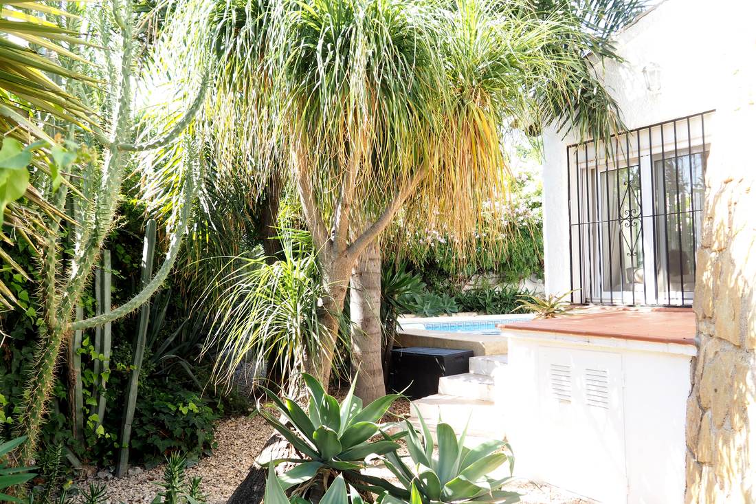 El jardín y la piscina — Villa Ricarlos